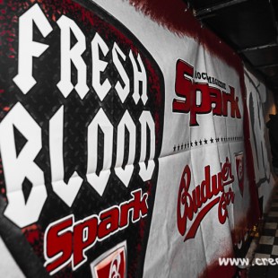 049 Spark Fresh Blood